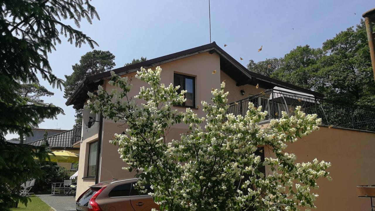 Willa Lysica Krynica Morska Dış mekan fotoğraf